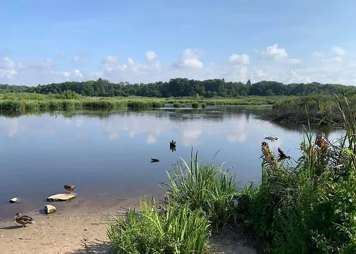 Year-round, Modern With A Terrace Σπίτι διακοπών *